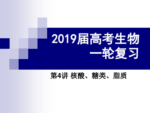 2019届高考生物一轮复习-第4讲 核酸、糖类和脂质