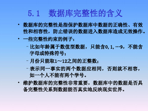 数据库 原理 及应用 数据库完整性