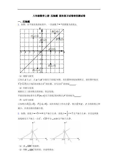 八年级数学上册 压轴题 期末复习试卷培优测试卷