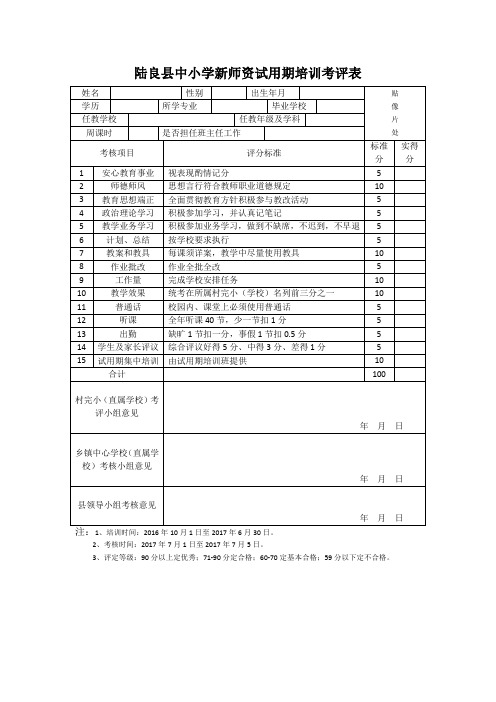 陆良县中小学新师资试用期培训考评表