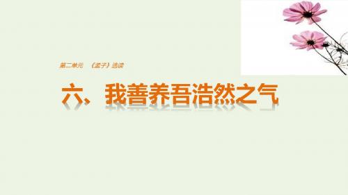 2020版高中语文第二单元六、我善养吾浩然之气课件新人教版选修《先秦诸子选读》