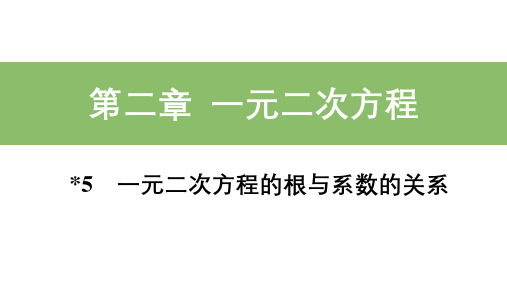 北师大版九年级数学上册_基础知识精练课件：5_一元二次方程的根与系数的关系