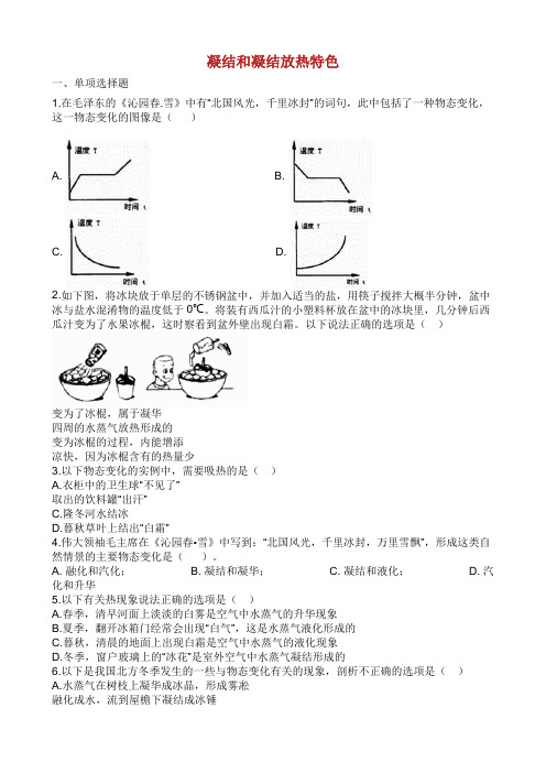 中考物理 知识点全突破系列 专题 凝固和凝固放热特点