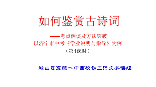 2020年中考语文诗词鉴赏专题复习精品课件