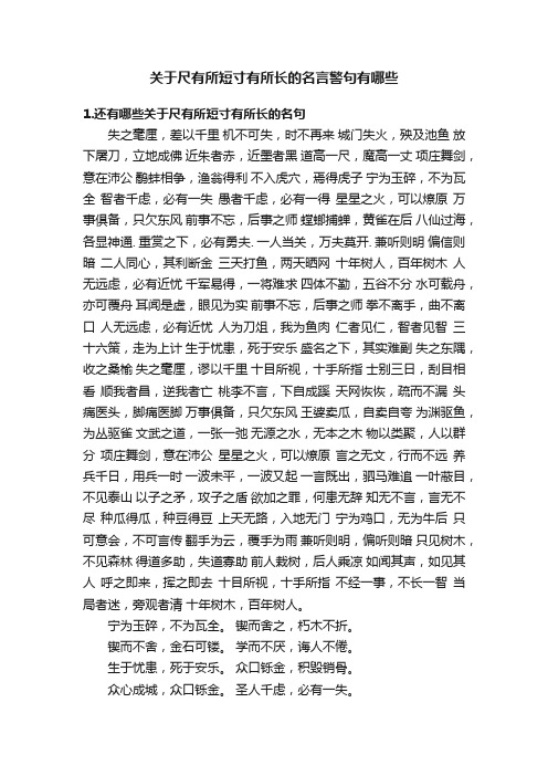 关于尺有所短寸有所长的名言警句有哪些