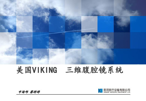 Viking3D腹腔镜系