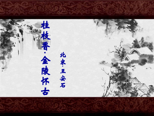 高考复习《桂枝香-金陵怀古》