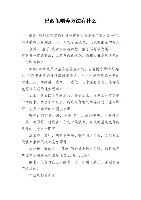 巴西龟喂养方法有什么