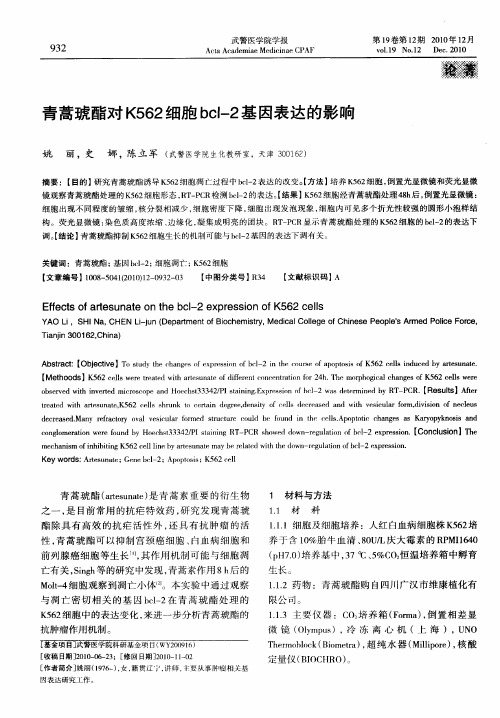 青蒿琥酯对K562细胞bcl-2基因表达的影响