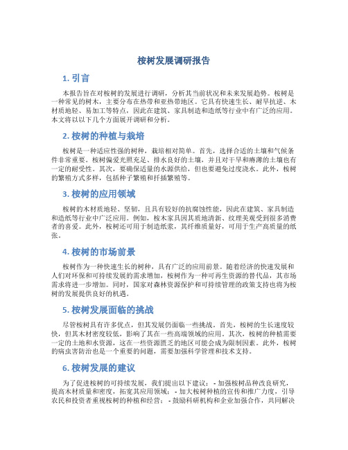 桉树发展调研报告