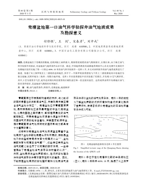 羌塘盆地第一口油气科学钻探井油气地质成果及勘探意义