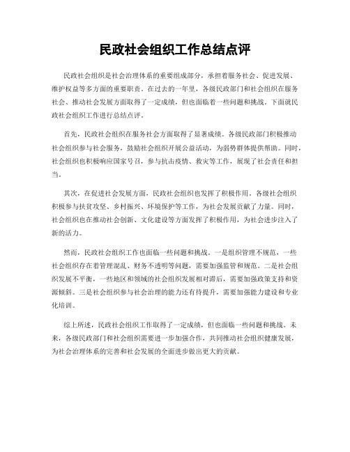 民政社会组织工作总结点评