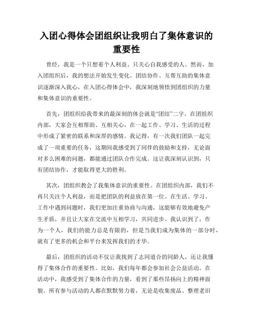 入团心得体会团组织让我明白了集体意识的重要性