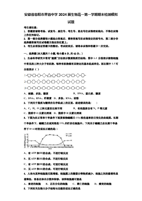 安徽省阜阳市界首中学2024届生物高一第一学期期末检测模拟试题含解析