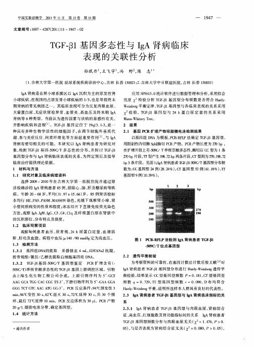 TGF-β1基因多态性与IgA肾病临床表现的关联性分析
