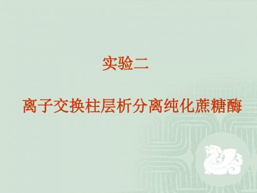 离子交换柱层析分离纯化蔗糖酶