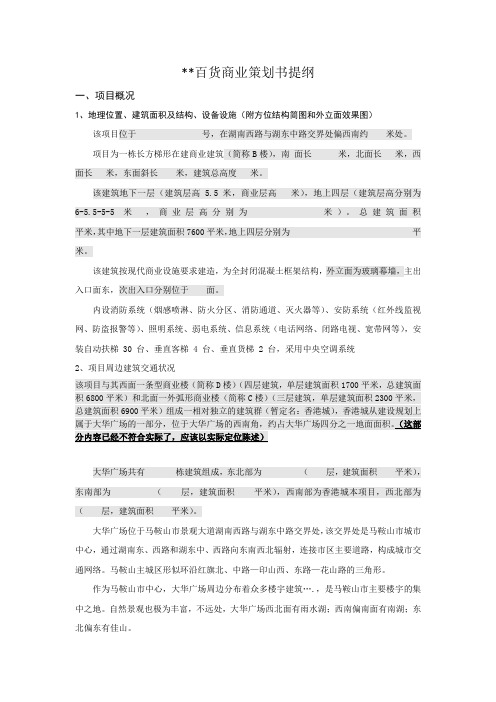 新源百货商业策划书提纲