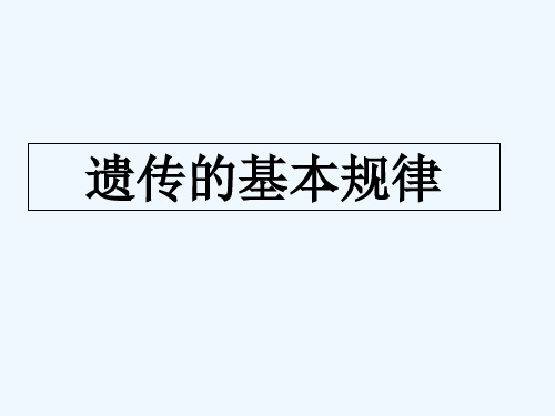 遗传的基本规律 PPT课件