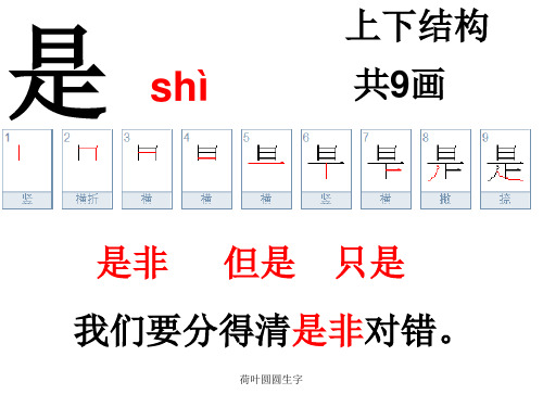 荷叶圆圆生字ppt课件