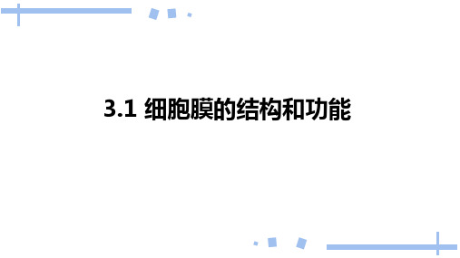 3.1细胞膜的结构和功能课件高一上学期生物人教版必修1(5)