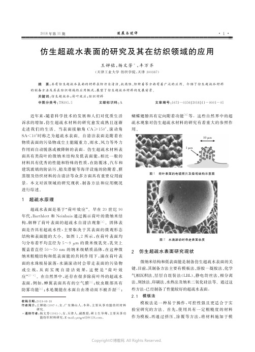 仿生超疏水表面的研究及其在纺织领域的应用