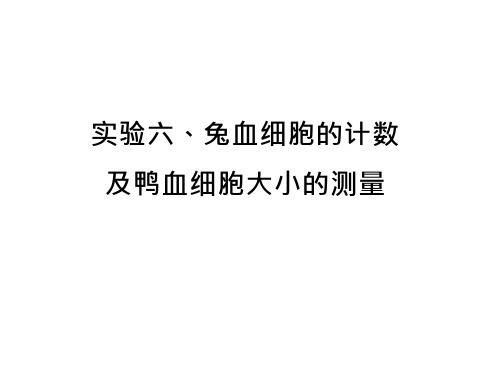 兔血细胞的计数及鸭血细胞大小的测量.PPT