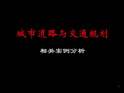 城市道路与交通规划案列分析ppt课件