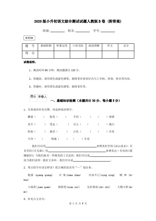 2020版小升初语文综合测试试题人教版B卷 (附答案)