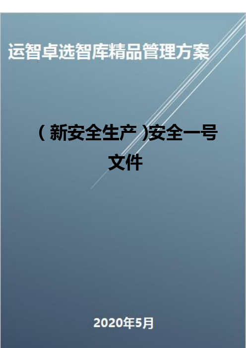 (新安全生产)安全一号文件