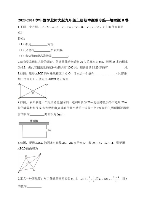 2023-2024学年数学北师大版九年级上册期中题型专练—填空题B卷(含答案)