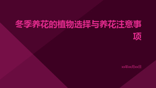 冬季养花的植物选择与养花注意事项