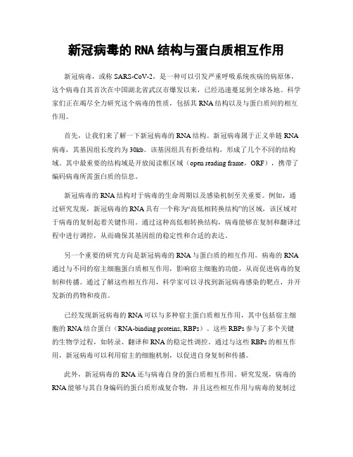 新冠病毒的RNA结构与蛋白质相互作用