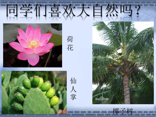 苏教版科学三年级下册4.植物和我们 (2)