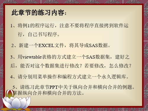 SAS系统入门