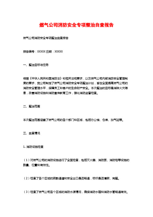 燃气公司消防安全专项整治自查报告 (2)