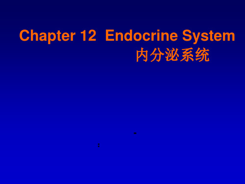 《组织学与胚胎学》内分泌系统