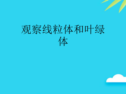 观察线粒体和叶绿体优质PPT资料