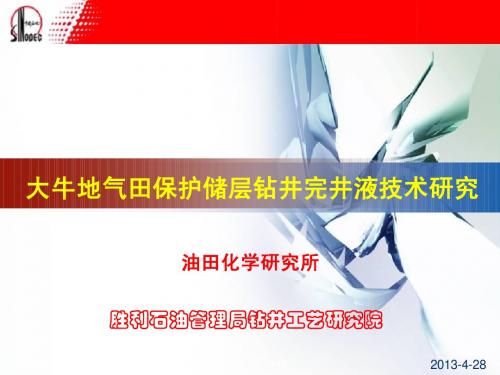大牛地气田保护钻井完井液技术研究-钻井院