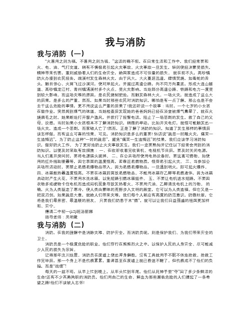 我与消防作文共九篇