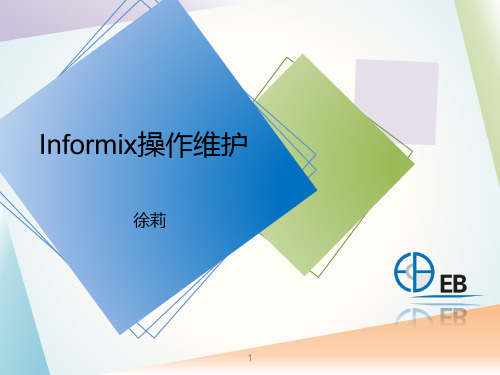 Informix操作维护