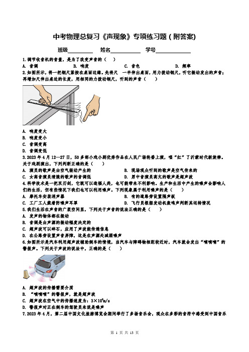 中考物理总复习《声现象》专项练习题(附答案)