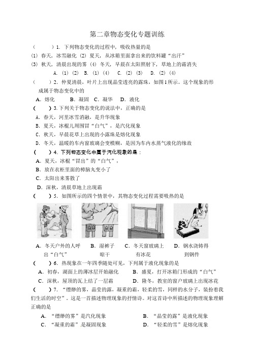 物态变化专题训练