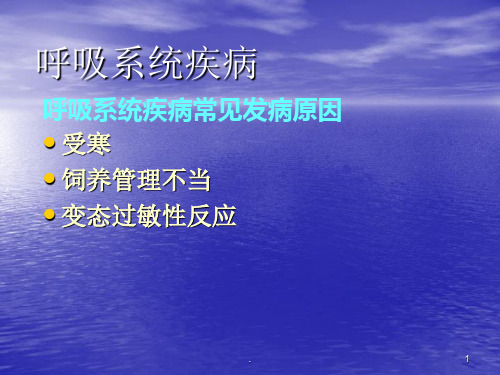 (精品)兽医内科学PPT演示课件