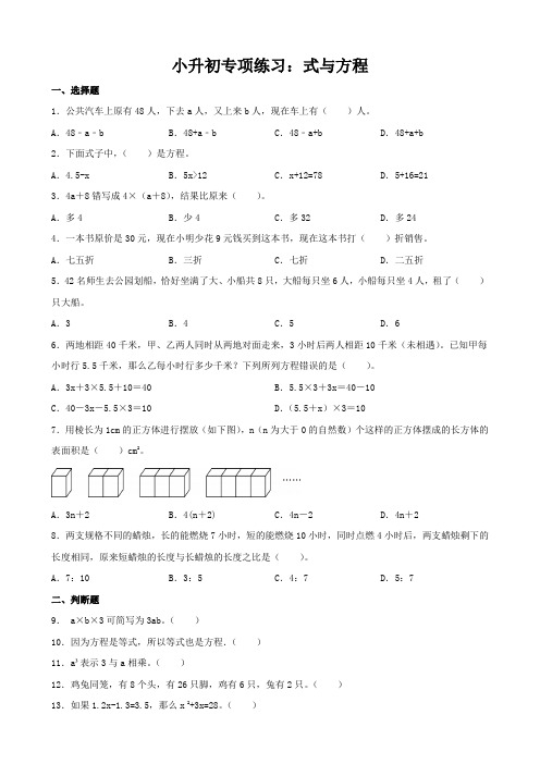 小升初专项练习：式与方程(专项练习)-2023-2024学年六年级下册数学人教版