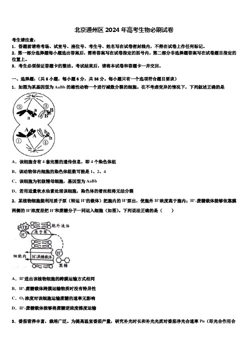 北京通州区2024年高考生物必刷试卷含解析