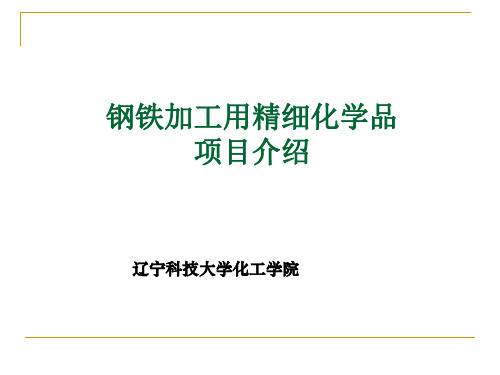 钢铁加工用精细化学品项目介绍