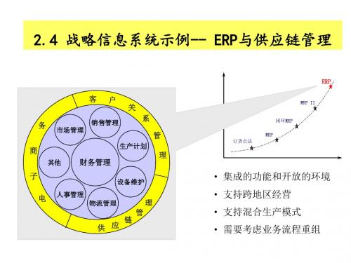 IS与IS战略重要性(二)讲解