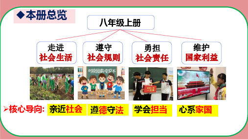 8.2坚持国家利益至上课件(共25张PPT) 2024-2025学年统编版道德与法治八年级上册