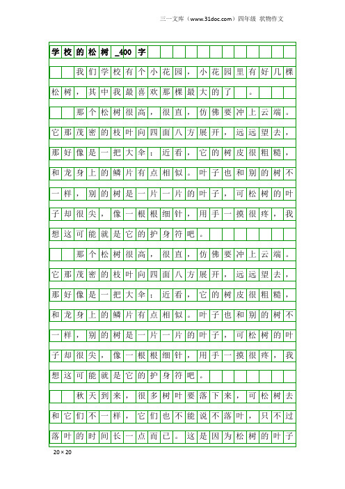 四年级状物作文：学校的松树_400字