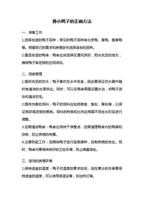 养小鸭子的正确方法